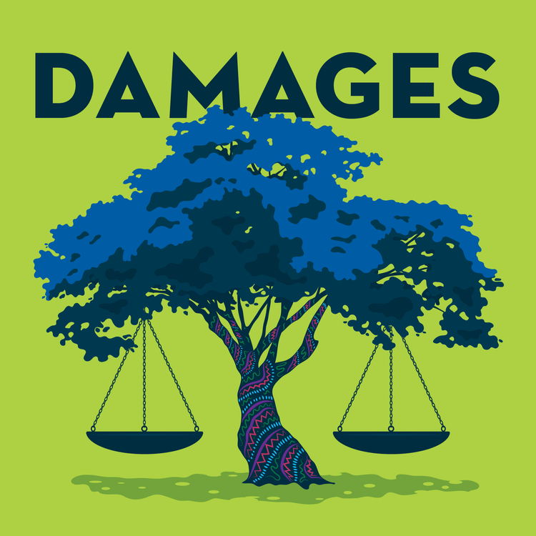 Podcast: Introducing Damages